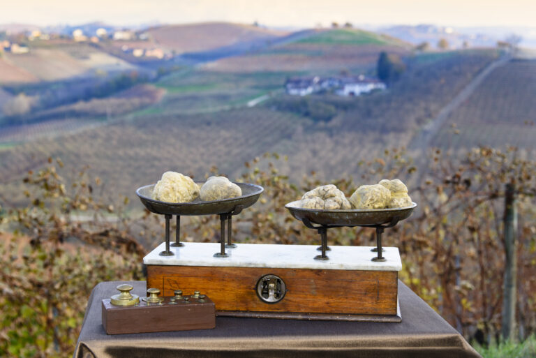 White Truffle Season Is Here: The 6 Michelin-Starred Italian Tables Worth the Trip