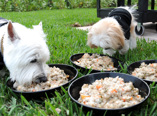 Dimitri and Lulu Flynn Enjoying ONE Bal Harbour’s Gourmet Dog Food